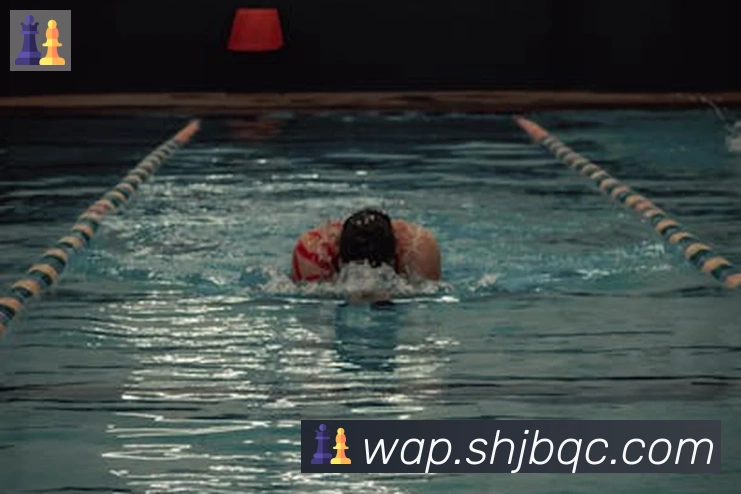 博亚官网平台生态图