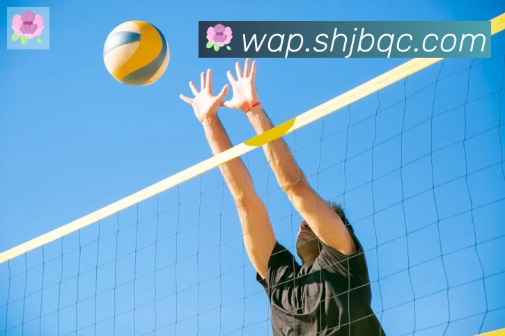 博亚官网APP 封面图