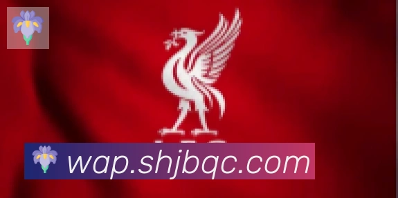 博亚官网合作伙伴