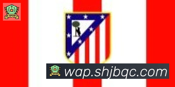 博亚官网合作伙伴